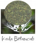 Java Tea (Kumis Kutjing) leaf 30g